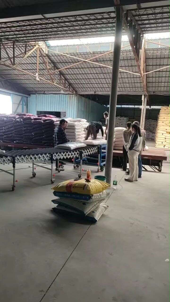 化肥仓库使用包胶滚筒输送机与中型爬坡机进行袋装化肥卸货与提升码垛的现场操作演示 - 5
